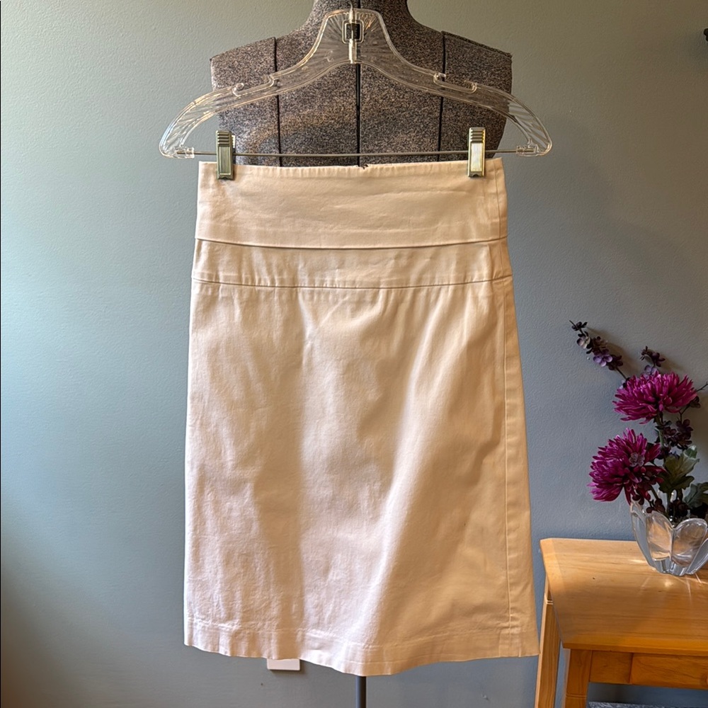 Club Monaco A-Line Skirt